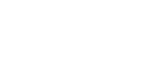 apple consultants network partner